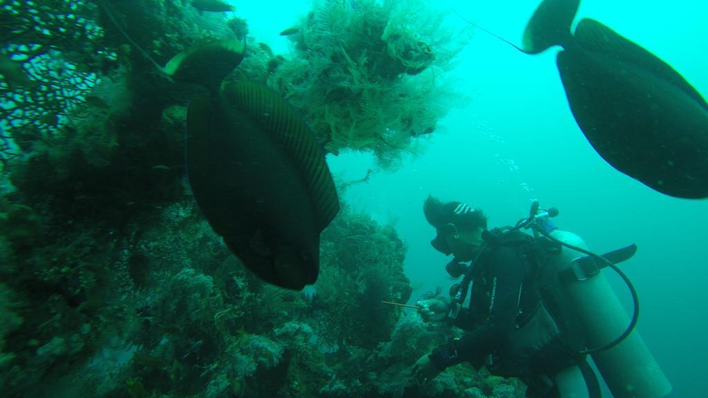 Ocean View Tulamben Dive & Resort 외부 사진